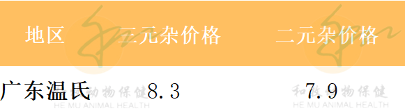 2021年7月29日猪价