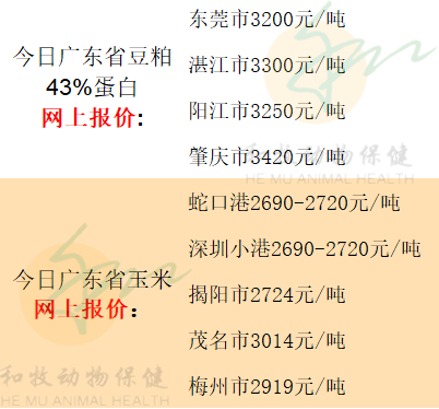 2021年7月29日广东各地猪价、全国猪价、温氏猪价、豆粕玉米价格