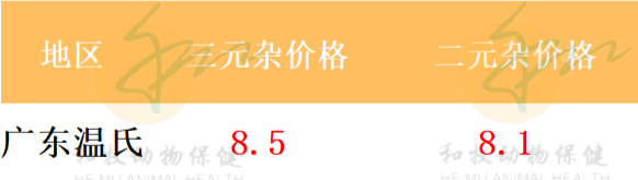 2021年7月29日广东各地猪价、全国猪价、温氏猪价、豆粕玉米价格