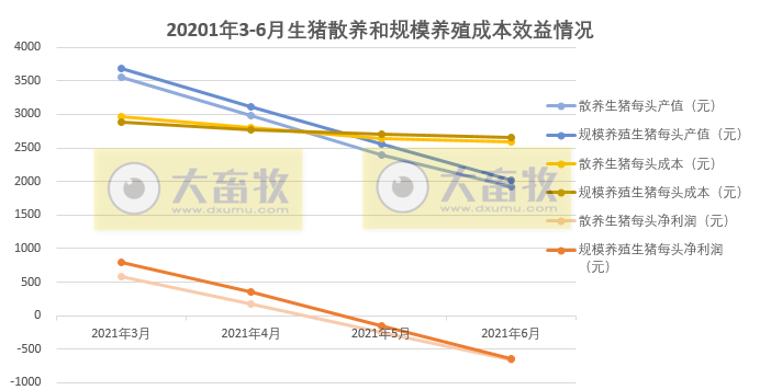 【完整版】2021年6月及上半年生猪行业数据汇总