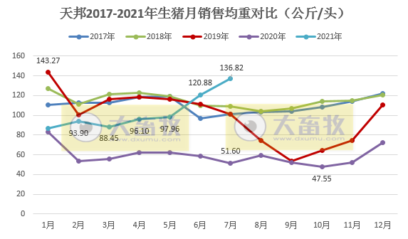 天邦股份：7月仔猪销量急剧下降，前7月生猪收入超50亿增11%，已建成70万头能繁产能