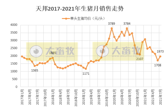 天邦股份：7月仔猪销量急剧下降，前7月生猪收入超50亿增11%，已建成70万头能繁产能