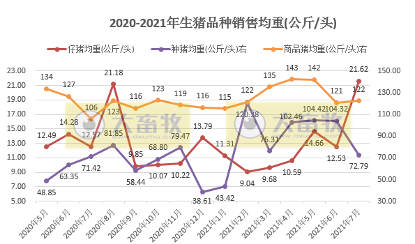 金新农：7月仔猪均重涨73%，种猪均重降30%，前7月收入同增101%