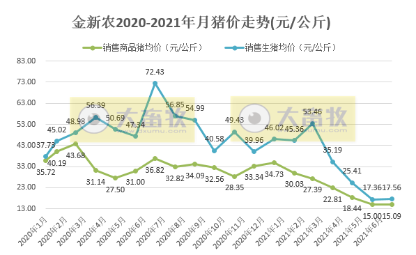 金新农：7月仔猪均重涨73%，种猪均重降30%，前7月收入同增101%