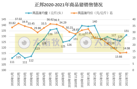 正邦科技：单月商品猪销量连续4个月创新高，前7个月生猪收入超200亿