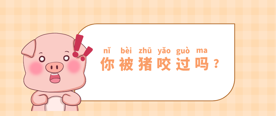 不幸被猪咬伤,该怎么办?——《猪咬伤诊疗规范》