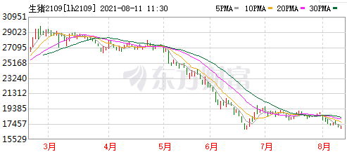 2021.8.11-今日猪价西南继续全线上涨，仔猪价格连跌20周幅度56%，新希望产能建设放缓预计年底700万头存栏，温氏生猪成本已逐月下降