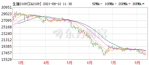 2021.8.12-今日猪价多地下跌，牧原拟募资近百亿扩增27个生猪项目，大北农高管变动7月生猪收入环增68%