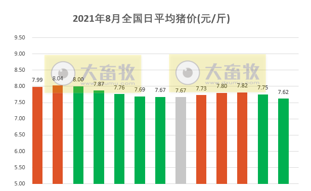 2021.8.13-今日猪价全面下跌，头均生猪亏损622元连亏12周，双汇上半年净利下降16%，龙大7月生猪收入环增70%，万洲高管大变动，生猪板块和期货飘绿