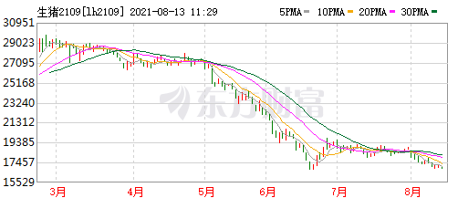 2021.8.13-今日猪价全面下跌，头均生猪亏损622元连亏12周，双汇上半年净利下降16%，龙大7月生猪收入环增70%，万洲高管大变动，生猪板块和期货飘绿