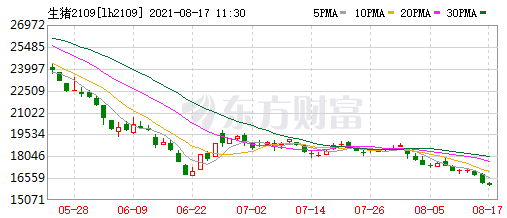 2021.8.17-今日猪价继续上行,前7月全国猪饲料产量同增66%,广东7月生猪屠宰量近2年最高,正邦猪价较低是大体猪出栏所致,神农拟派现金1亿元
