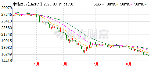 2021.8.19-今日猪价多地下跌，养猪业连续亏损13周；唐仁健称生猪产能完全恢复，要防止“急转弯”“翻烧饼”现象；温氏上半年亏损近25亿元肉猪收入下滑36%