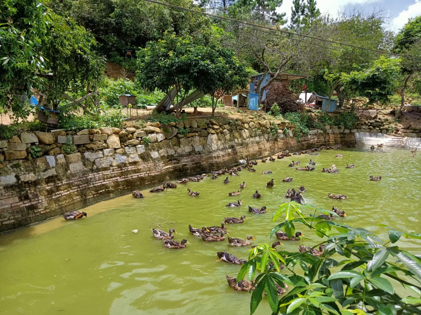 喝生奶会得病吗？被狗咬了怎么办？旅游会不会感染上血吸虫病？——解密人畜共患病防控