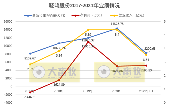 晓鸣股份：上半年营收3.54亿元同增26%，净利已超去年全年，销售8200万羽鸡苗同增15%