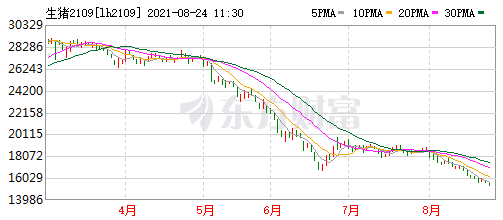 2021.8.24-今日猪价大面积下跌,生猪养殖连亏14周;正邦对金宇处罚3000万事件有回应;大北农上半年净利下降44%
