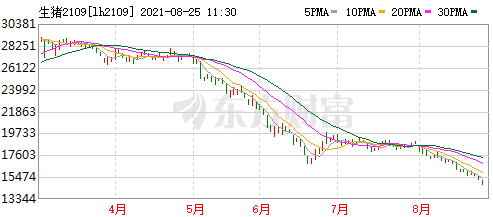 2021.8.25-今日猪价继续多地下跌,仔猪价格连跌22周,9月猪价难大涨?多家IPO遭中止,温氏未来养猪成本7-8元/斤,唐人神上半年净利降近6成,台湾出现非瘟肉产品