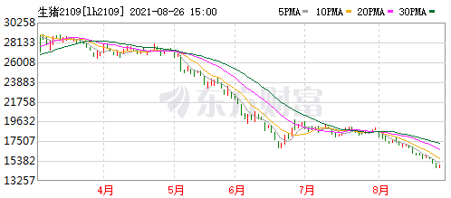 2021.8.26-今日猪价24省跌入7元时代，猪价为何旺季不旺？东瑞上半年净利下降28%生猪毛利率52.9%