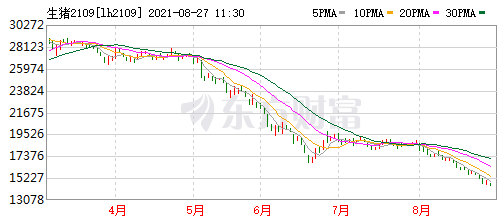2021.8.27-今日猪价多地仍下跌而东北上涨,三大利好消息猪价会反弹吗?牧原、天康和瑞普披露半年报,赚多赚少都是因为二师兄,7天8国发生433起非瘟疫情