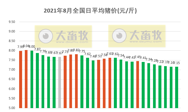 2021.8.29-今日猪价连跌7天，预计9月开学猪价或震荡反弹，饲料又涨价50-200元，牧原目前各区域、各子公司之间养殖成本离散度较大