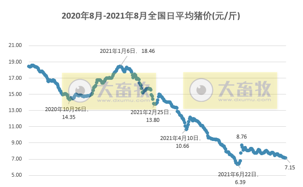 2021.8.29-今日猪价连跌7天，预计9月开学猪价或震荡反弹，饲料又涨价50-200元，牧原目前各区域、各子公司之间养殖成本离散度较大