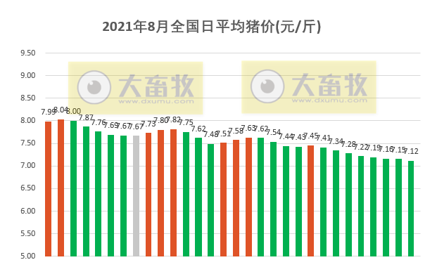 2021.8.30-今日猪价连跌8天，养猪连亏15周且头均亏损连5周超600元，猪价仍处于下行周期，京基智农多个生猪项目均已引种投产