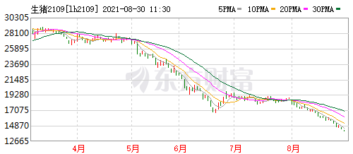 2021.8.30-今日猪价连跌8天，养猪连亏15周且头均亏损连5周超600元，猪价仍处于下行周期，京基智农多个生猪项目均已引种投产