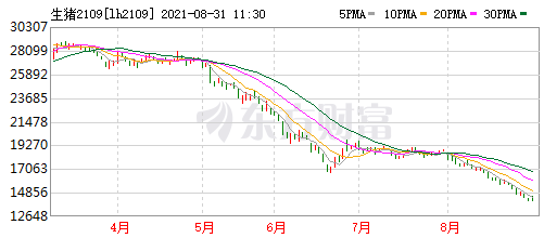 2021.8.31-今日猪价连跌9天，8月猪价缓慢下降幅度不到1元，仔猪价格连跌23周累计跌61%，天邦养猪亏9亿元，傲农饲料和养猪毛利率均下降