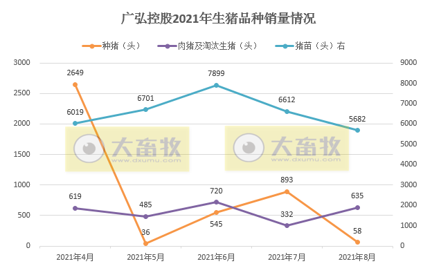 广弘控股：8月生猪销量、收入和价格同环比均下降，前8个月生猪销量7.7万头