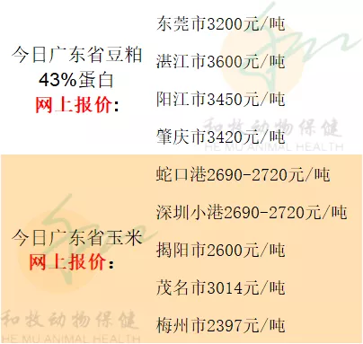 2021年8月2日广东各地猪价、全国猪价、温氏猪价、豆粕玉米价格、猪苗价格