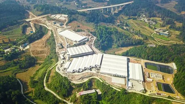 贵阳十条措施！引纯种能繁母猪补1500元/头，启1200吨猪肉收储