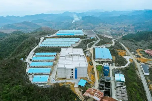 贵阳十条措施！引纯种能繁母猪补1500元/头，启1200吨猪肉收储