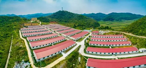 广东：将实施生猪标准化规模养殖提升行动 确保规模养殖比例达到80%以上