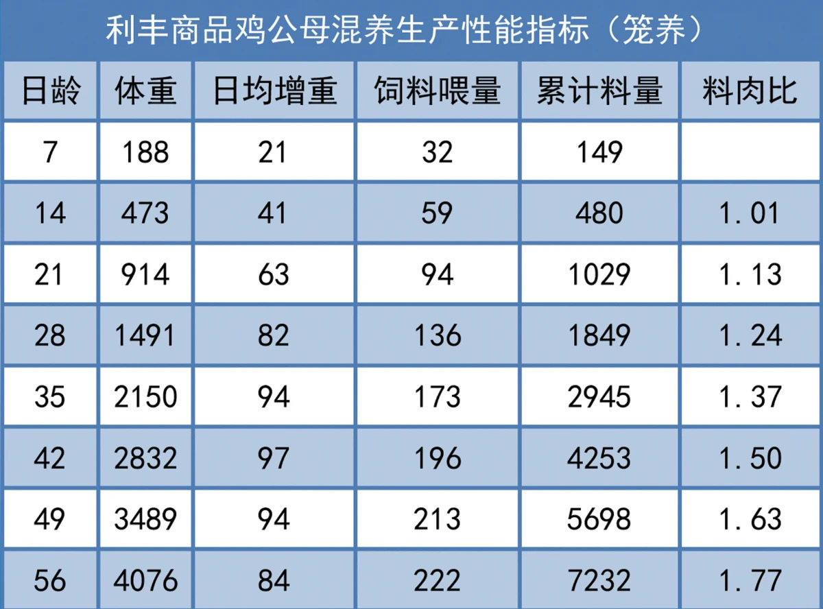 益生股份的利丰父母代和商品代产品特点