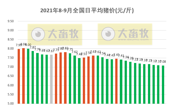 2021.9.1-今日猪价连跌10天有7省上涨,将启动第二轮猪肉收储,现在是补栏好时机吗?多家养猪巨头上半年亏损,生猪股上涨期货下跌