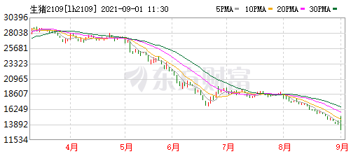 2021.9.1-今日猪价连跌10天有7省上涨,将启动第二轮猪肉收储,现在是补栏好时机吗?多家养猪巨头上半年亏损,生猪股上涨期货下跌
