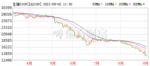 2021.9.2-今日猪价北方齐上涨，农业农村部希望大家趁机多吃猪肉多买猪肉，正邦单胎产仔数31头创最高，新希望上半年养猪成本10元/斤