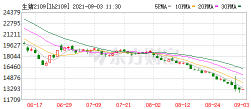 2021.9.3-今日猪价以稳为主，7月能繁母猪存栏减少23万头，母猪价格下降10%仔猪下降20%；牧原单月仔猪出生量600万头；近7天8国发生583起非瘟疫情；生猪概念股齐上涨