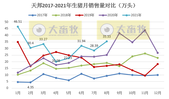天邦股份:8月生猪销量环涨24%,收入环涨12%连续4个月增长