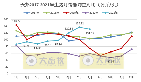 天邦股份:8月生猪销量环涨24%,收入环涨12%连续4个月增长