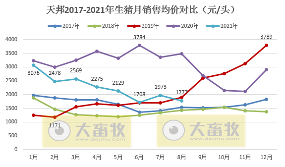天邦股份:8月生猪销量环涨24%,收入环涨12%连续4个月增长