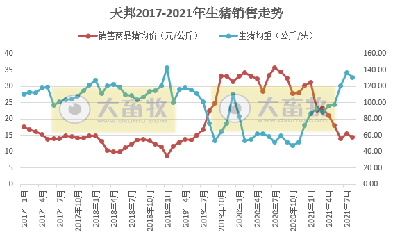 天邦股份:8月生猪销量环涨24%,收入环涨12%连续4个月增长