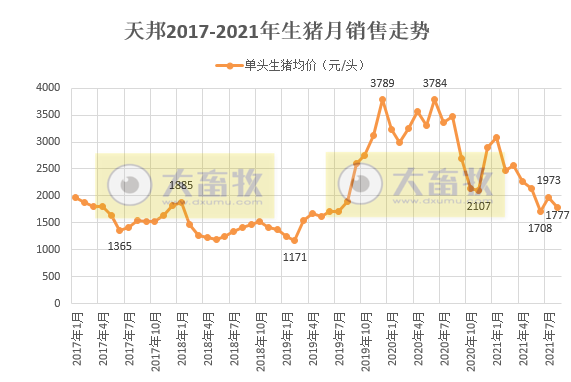 天邦股份:8月生猪销量环涨24%,收入环涨12%连续4个月增长