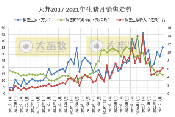 天邦股份:8月生猪销量环涨24%,收入环涨12%连续4个月增长