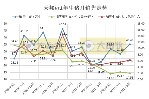 天邦股份:8月生猪销量环涨24%,收入环涨12%连续4个月增长