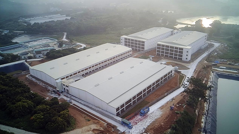 广弘控股：年出栏目标80-100万头（附调研问答）