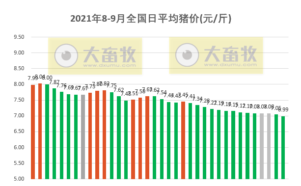 2021.9.5-今日猪价15省下跌，中秋国庆前涨价不乐观？3大生猪巨头政府补助超均1亿元，云南养猪亏损964元/头进入一级预警