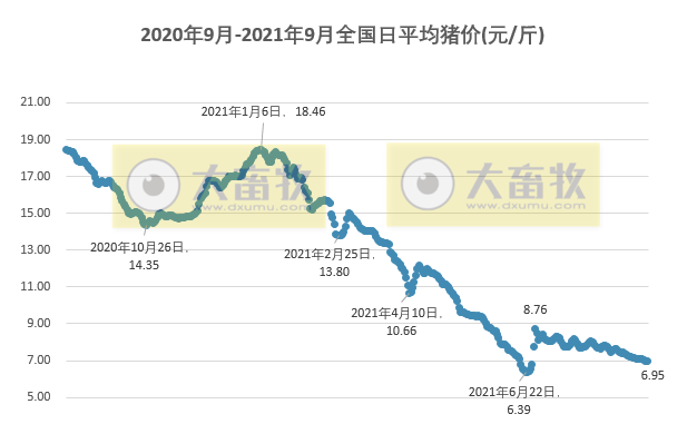2021.9.6-今日猪价时隔2个月再次跌破7元,新一轮环保督察开始有猪场被清理,牧原8月生猪销量较单月最高少90万头,香港出现一例野猪非瘟疫情