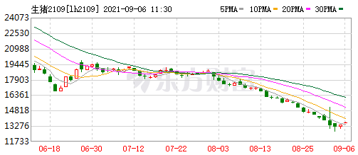 2021.9.6-今日猪价时隔2个月再次跌破7元,新一轮环保督察开始有猪场被清理,牧原8月生猪销量较单月最高少90万头,香港出现一例野猪非瘟疫情