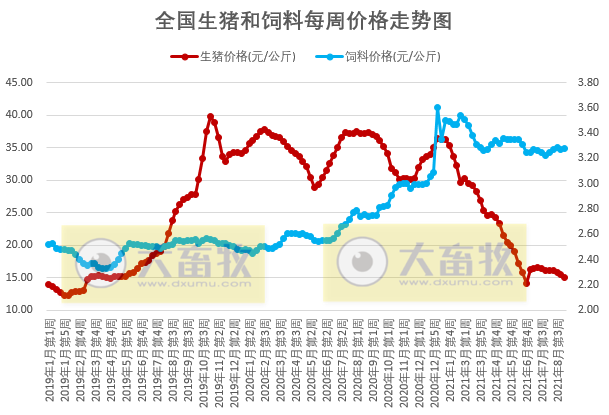 2021.9.7-今日猪价3涨13跌，养猪头均亏656元预计或继续下滑，温氏种猪与安佑签订合作协议，唐人神要在广东做大产业规模，正虹8月生猪销量环增83%