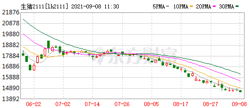2021.9.8-今日猪价2涨6跌，以稳为主，仔猪价格持续下跌24周至17元/斤，要不要补栏呢？超17省已启动猪肉收储工作，正邦前8月生猪销量超千万头